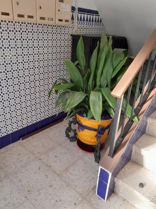 Disfruta De Un Barrio Tranquilo Apartment Alcalá de Guadaira Exterior foto